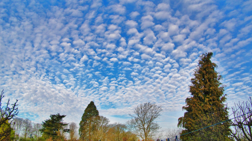 A blue sky filled with many small, fluffy clouds spread throughout. (Image credit: NOAA Weather in Focus Photo Contest 2015 | Alistair Bain) A blue sky filled with many small, fluffy clouds spread throughout.