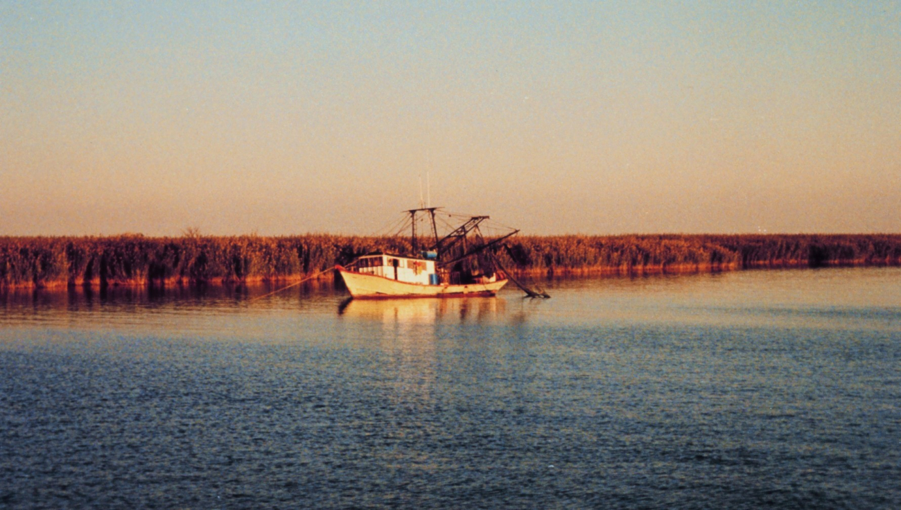 A shrimp boat anchored near the cane brakes (Image credit: Commander Grady Tuell) A shrimp boat anchored near the cane brakes