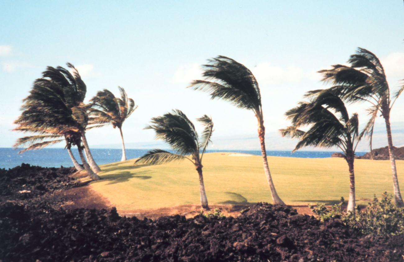 Golf course on the Kona coast (Image credit: Richard B. Mieremet) Golf course on the Kona coast