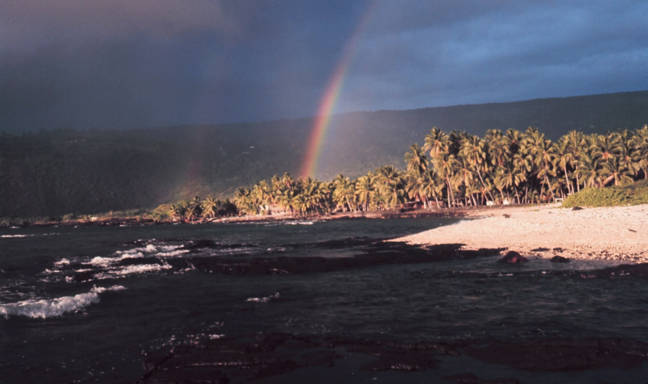 A double rainbow over palm trees on the coast (Image credit: Dr. James P. McVey) A double rainbow over palm trees on the coast