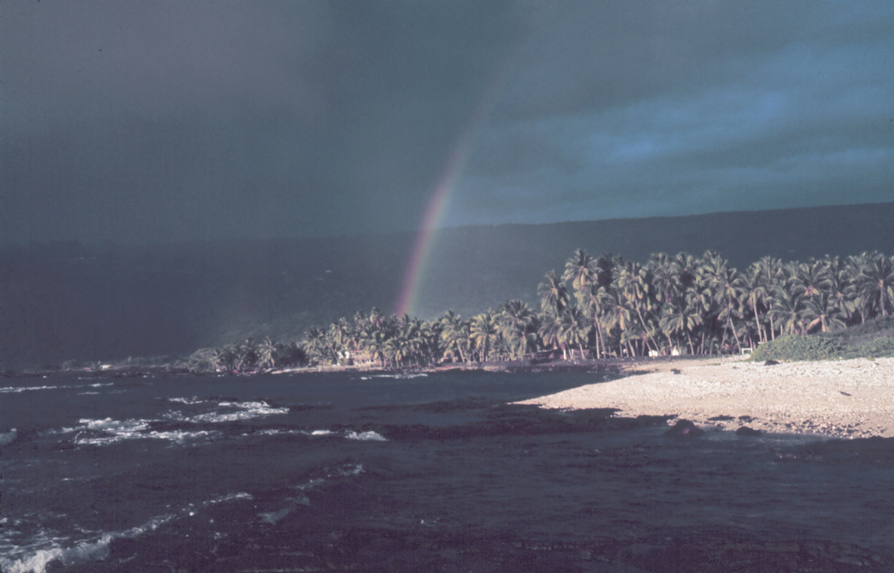 A rainbow over palm trees on the coast (Image credit: Dr. James P. McVey) A rainbow over palm trees on the coast
