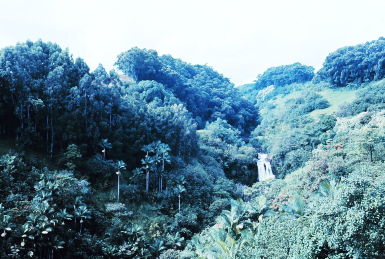 A beautiful waterfall (Image credit: Dr. James P. McVey) A beautiful waterfall