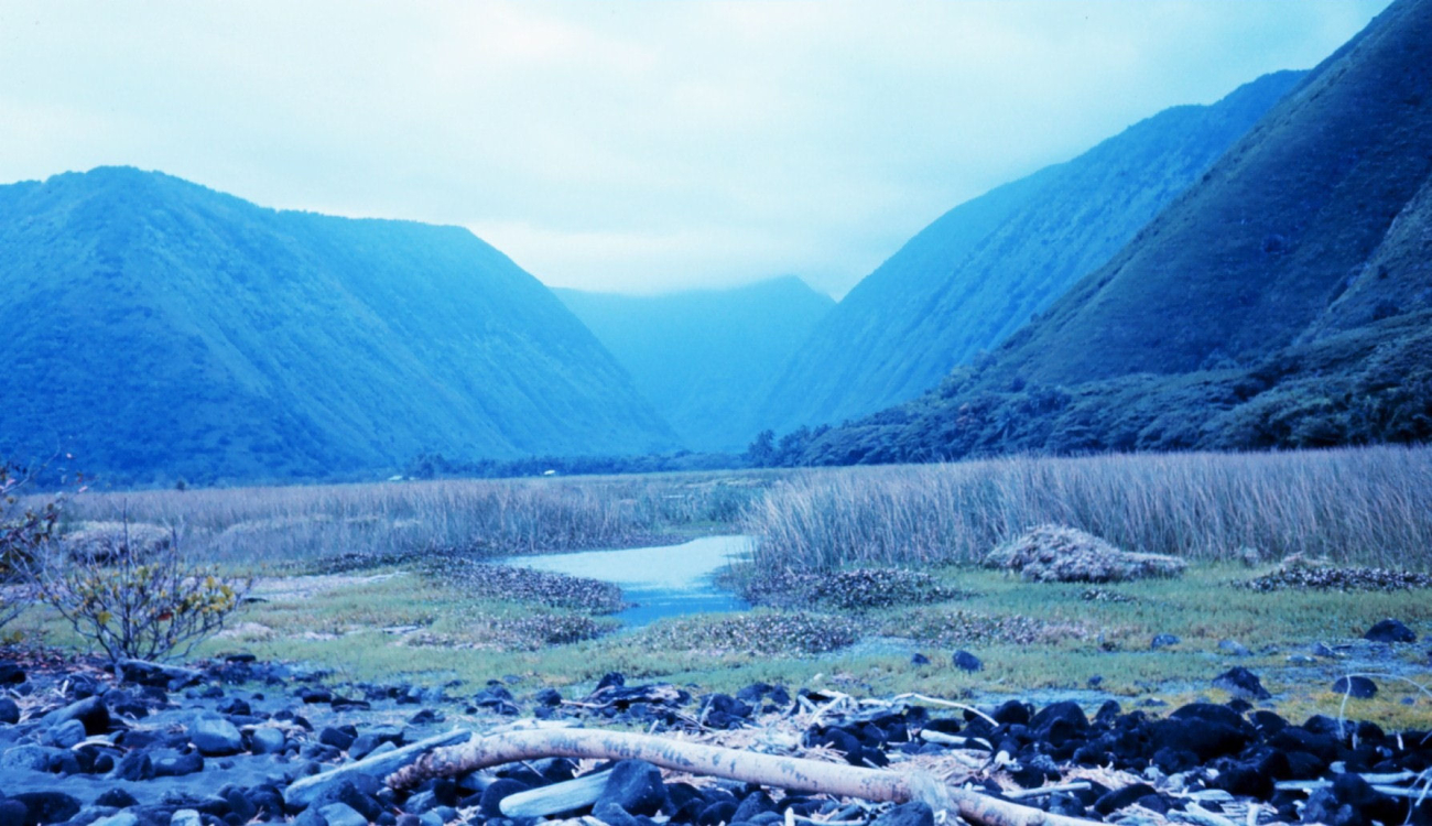 Looking south down the Waipio Valley (Image credit: Dr. James P. McVey) Looking south down the Waipio Valley