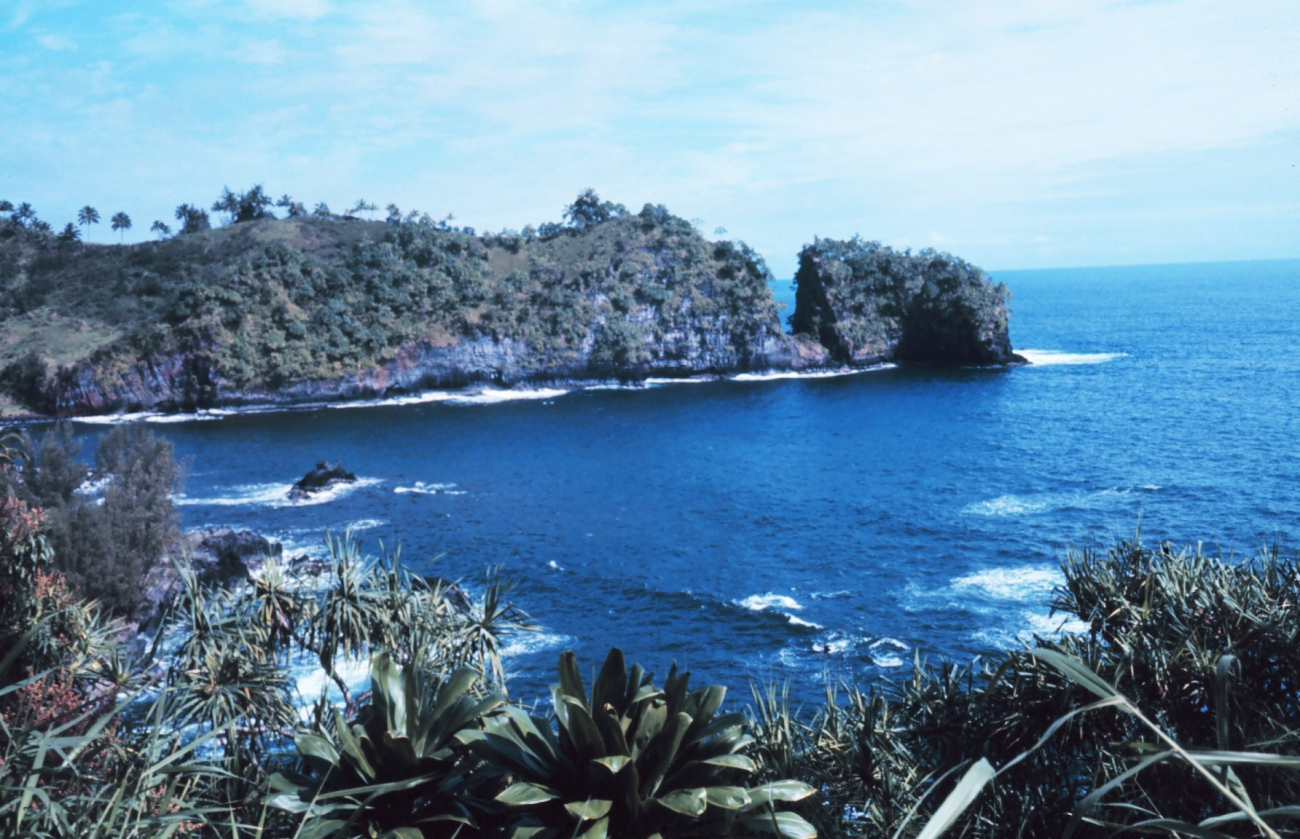 A coastal scene north of Hilo (Image credit: Dr. James P. McVey) A coastal scene north of Hilo
