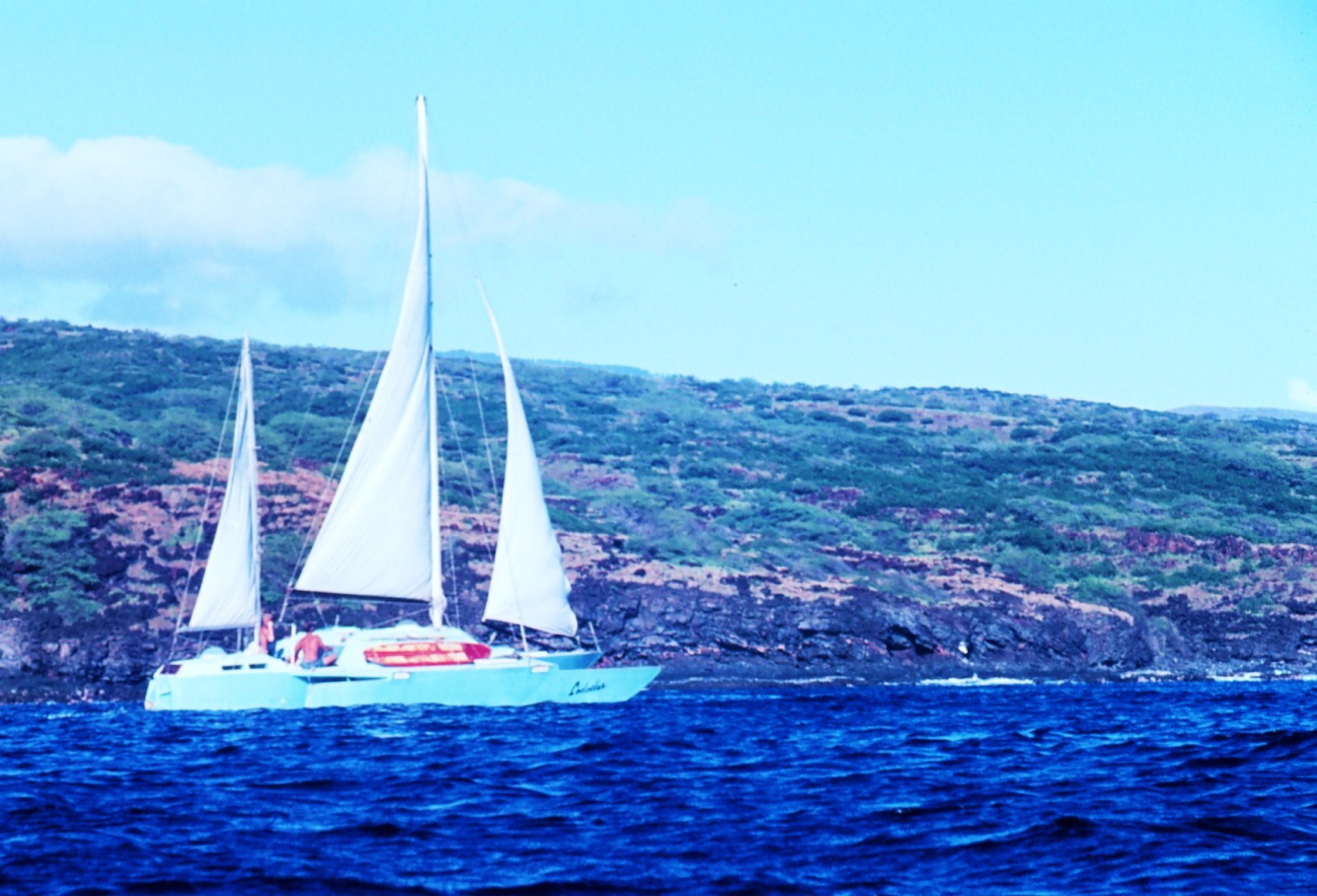 Catamaran sailing off Hawaiian island (Image credit: Dr. James P. McVey) Catamaran sailing off Hawaiian island
