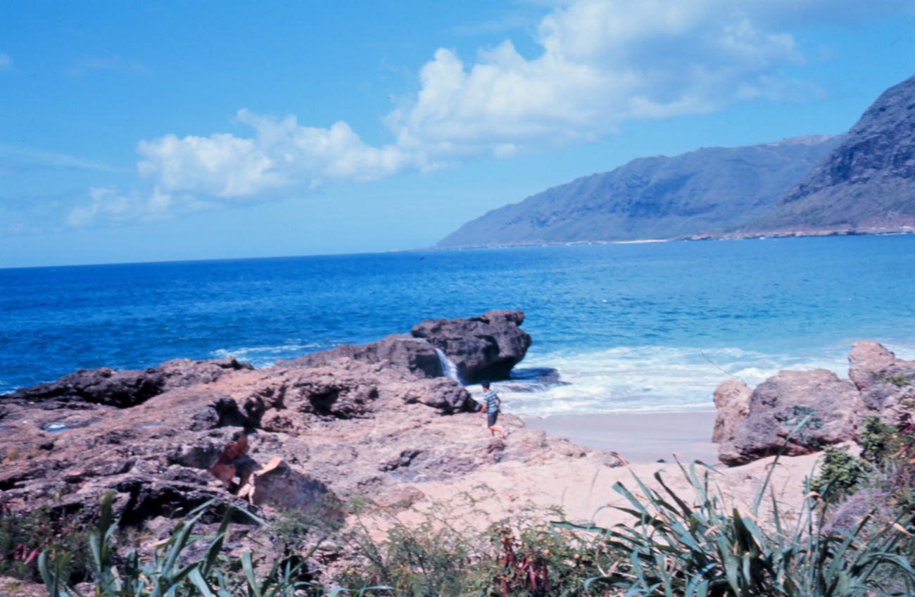 Waianae coast -southwest Oahu (Image credit: Dr. James P. McVey) Waianae coast -southwest Oahu