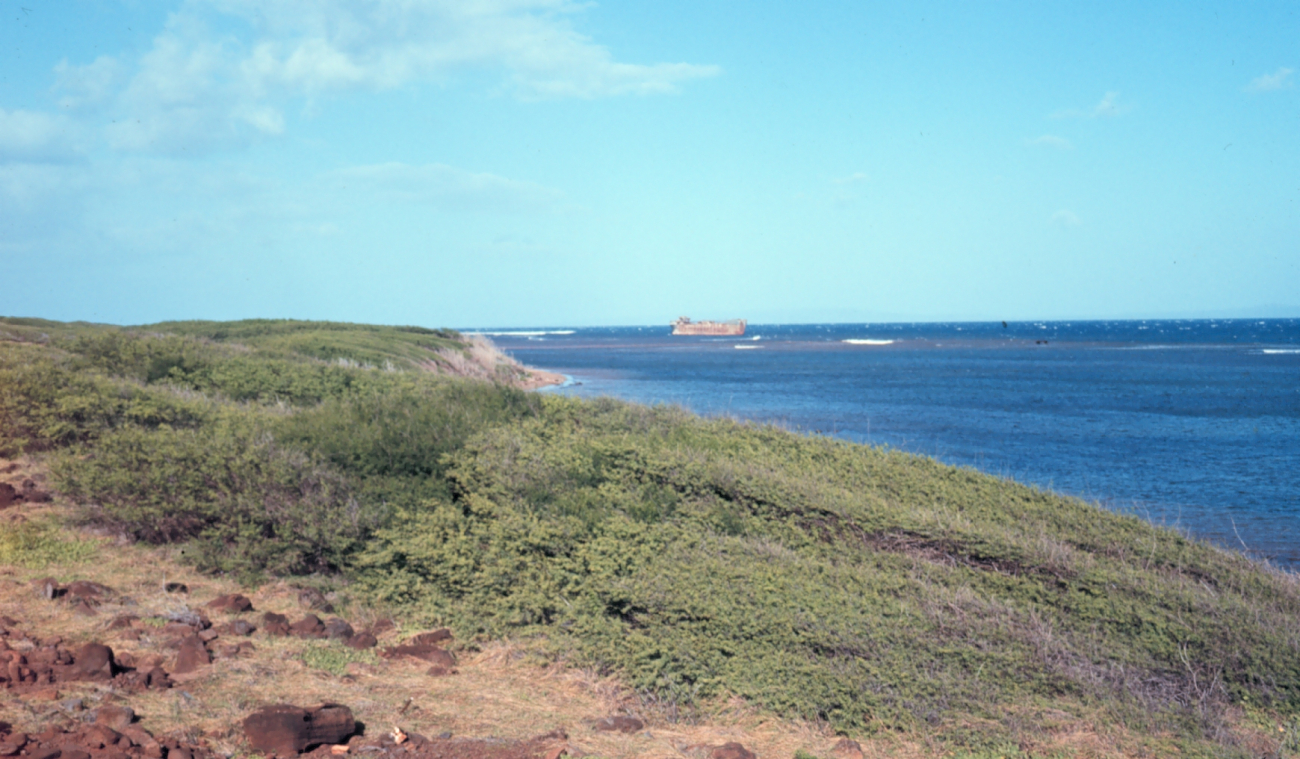 Shipwreck Beach (Image credit: Dr. James P. McVey) Shipwreck Beach
