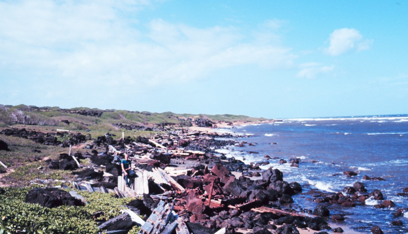 Shipwreck Beach (Image credit: Dr. James P. McVey) Shipwreck Beach