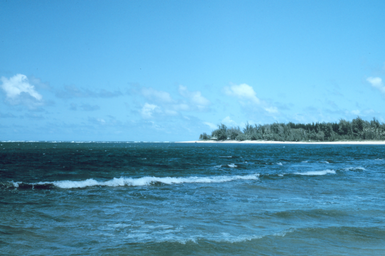 Lumahai Bay (Image credit: Dr. James P. McVey) Lumahai Bay