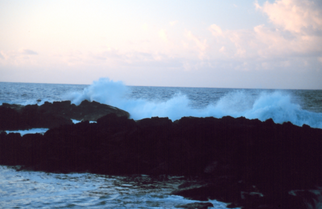 The coastline near Hilo (Image credit: Commander John Bortniak) The coastline near Hilo