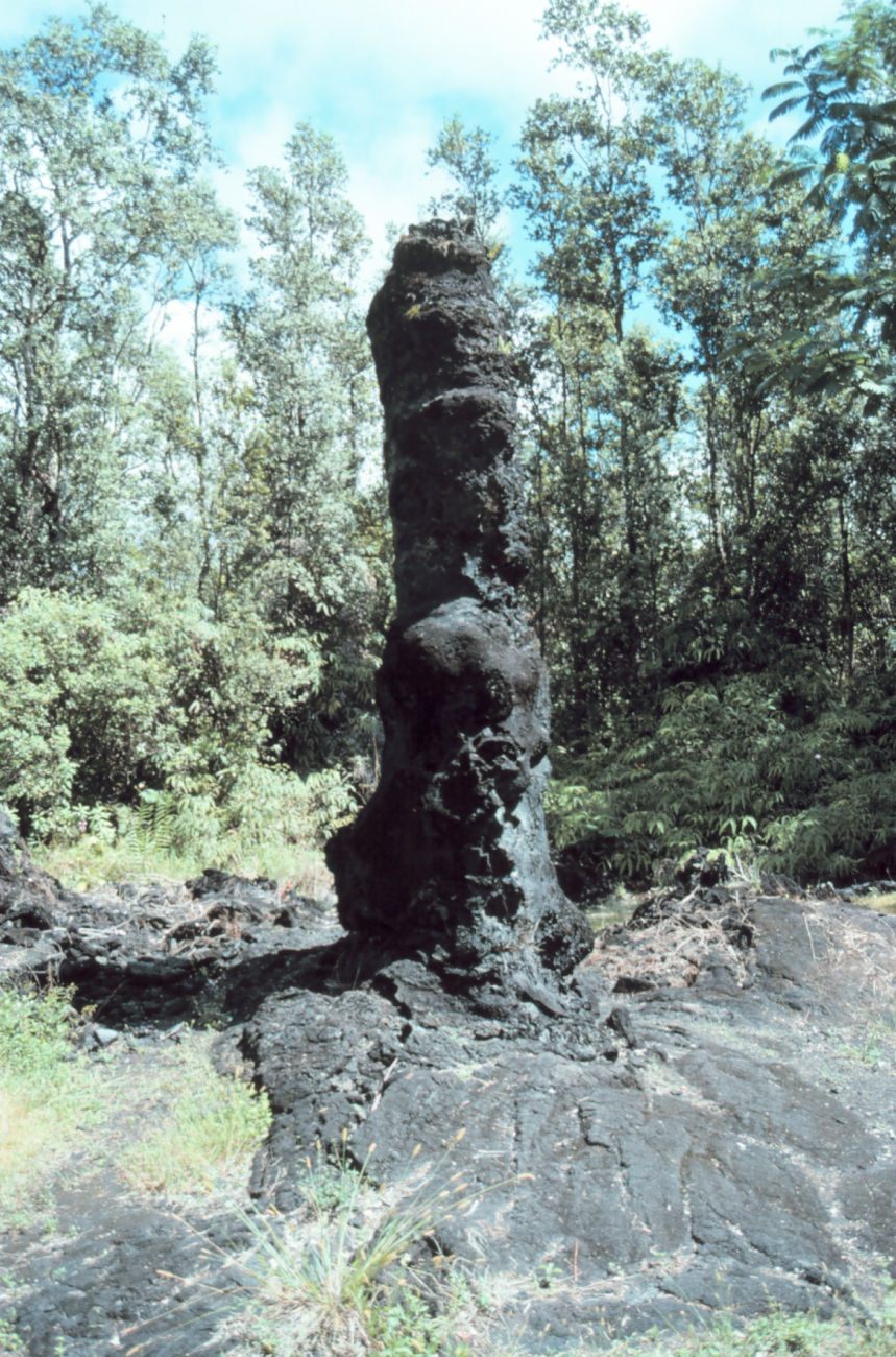A lava tree formed by lava cooling around the tree trunk - some like this one (Image credit: Commander John Bortniak) A lava tree formed by lava cooling around the tree trunk - some like this one