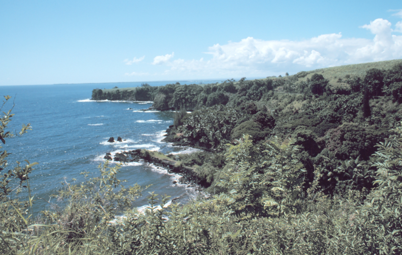 A coastal scene north of Hilo (Image credit: Commander John Bortniak) A coastal scene north of Hilo
