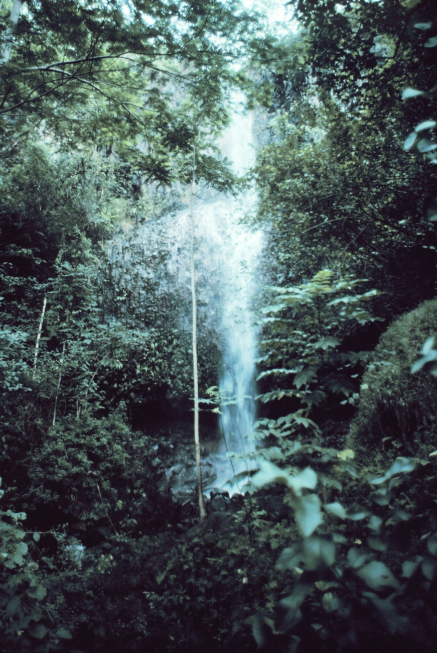 Waterfall on Kauai seen through the rain forest (Image credit: Commander John Bortniak) Waterfall on Kauai seen through the rain forest