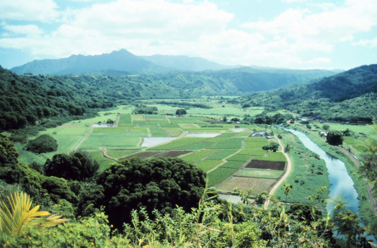 Plantation on Kauai (Image credit: Commander John Bortniak) Plantation on Kauai