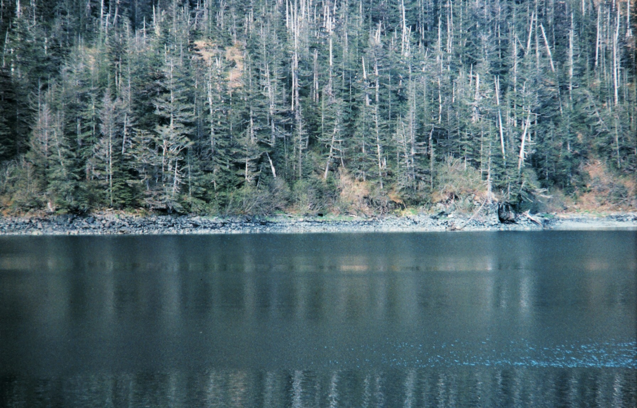 Shoreline in Prince William Sound (Image credit: Commander John Bortniak) Shoreline in Prince William Sound