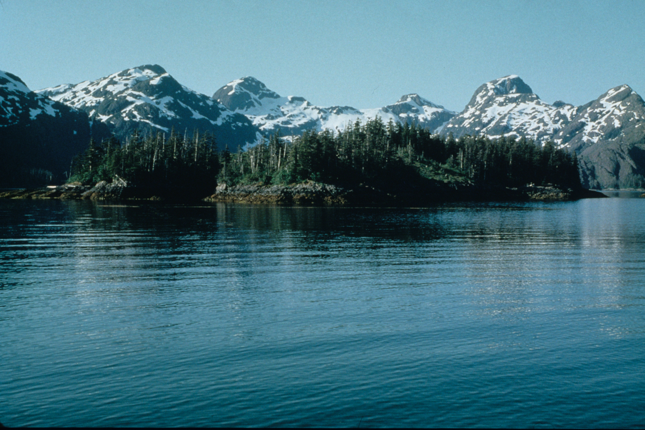 Rugged Alaska shoreline (Image credit: Commander John Bortniak) Rugged Alaska shoreline