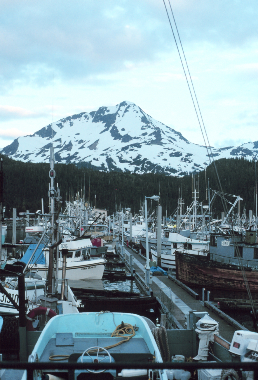 Fishing boats at Cordova (Image credit: Commander John Bortniak) Fishing boats at Cordova