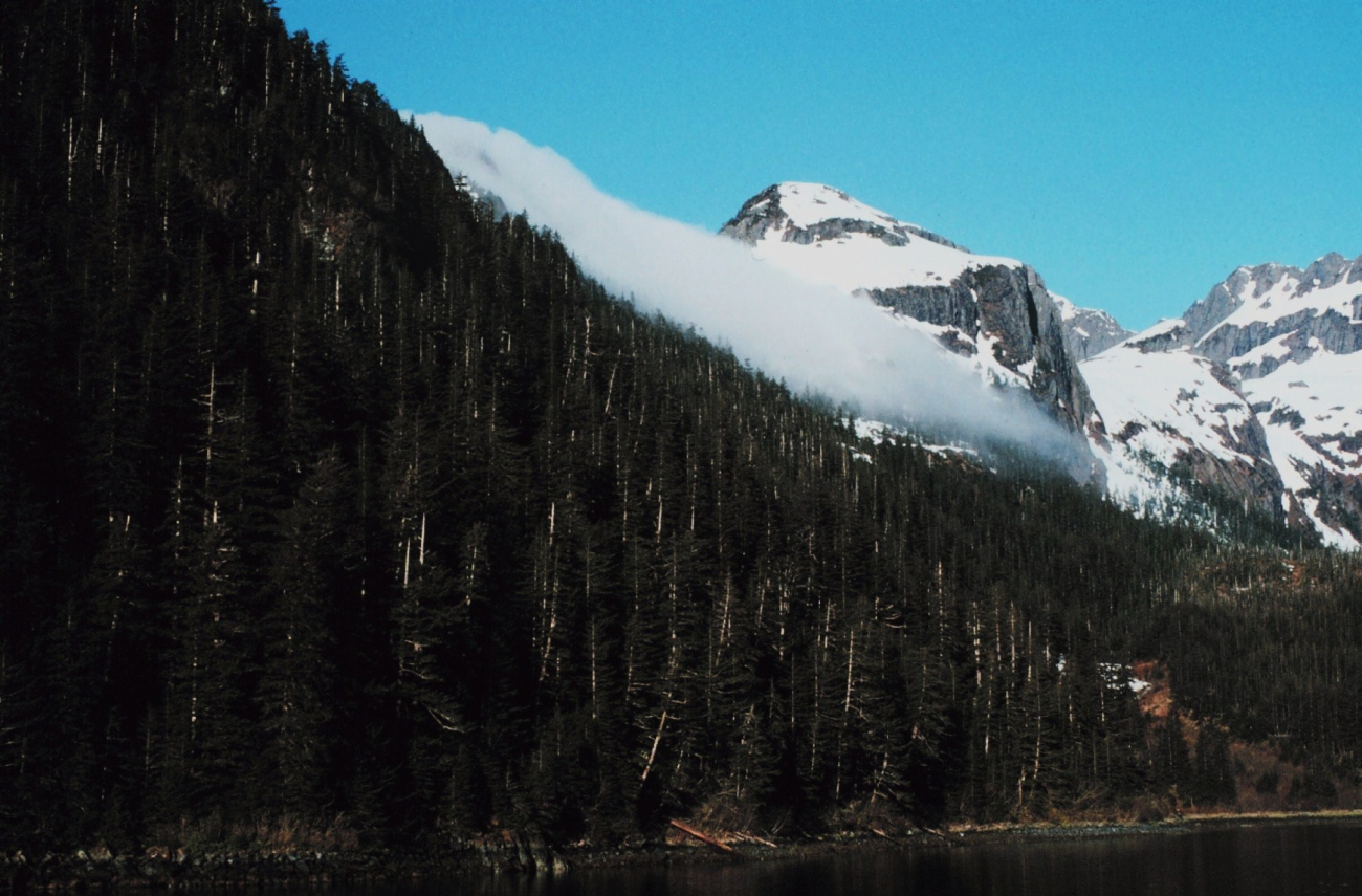 Fog tumbling through a break in the mountains at Prince William Sound (Image credit: Commander John Bortniak) Fog tumbling through a break in the mountains at Prince William Sound