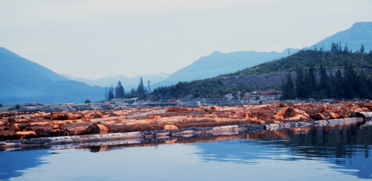 Log raft at Hobart Bay on east side of Stephens Passage (Image credit: Commander John Bortniak) Log raft at Hobart Bay on east side of Stephens Passage