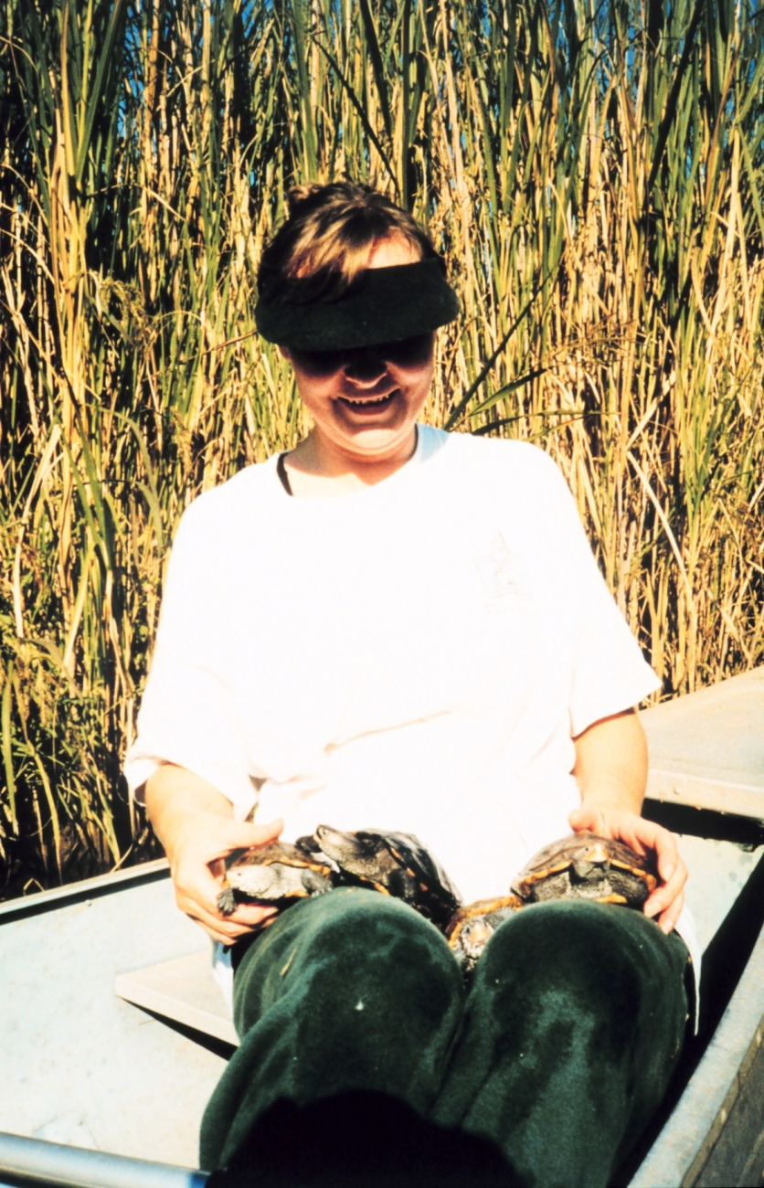 4 diamondback terrapins about to be released in wild (Image credit: Mary Hollinger) 4 diamondback terrapins about to be released in wild