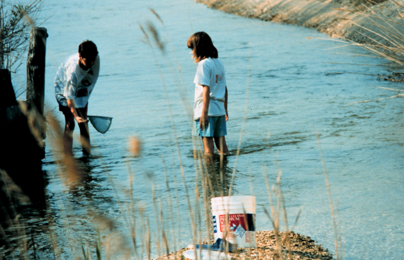 Searching for critters with a small net in a side creek to the Patuxent River (Image credit: Mary Hollinger) Searching for critters with a small net in a side creek to the Patuxent River