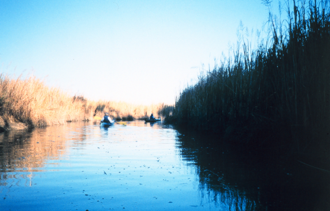 Kayakers observing the marsh flora and fauna on a fall afternoon (Image credit: Mary Hollinger) Kayakers observing the marsh flora and fauna on a fall afternoon