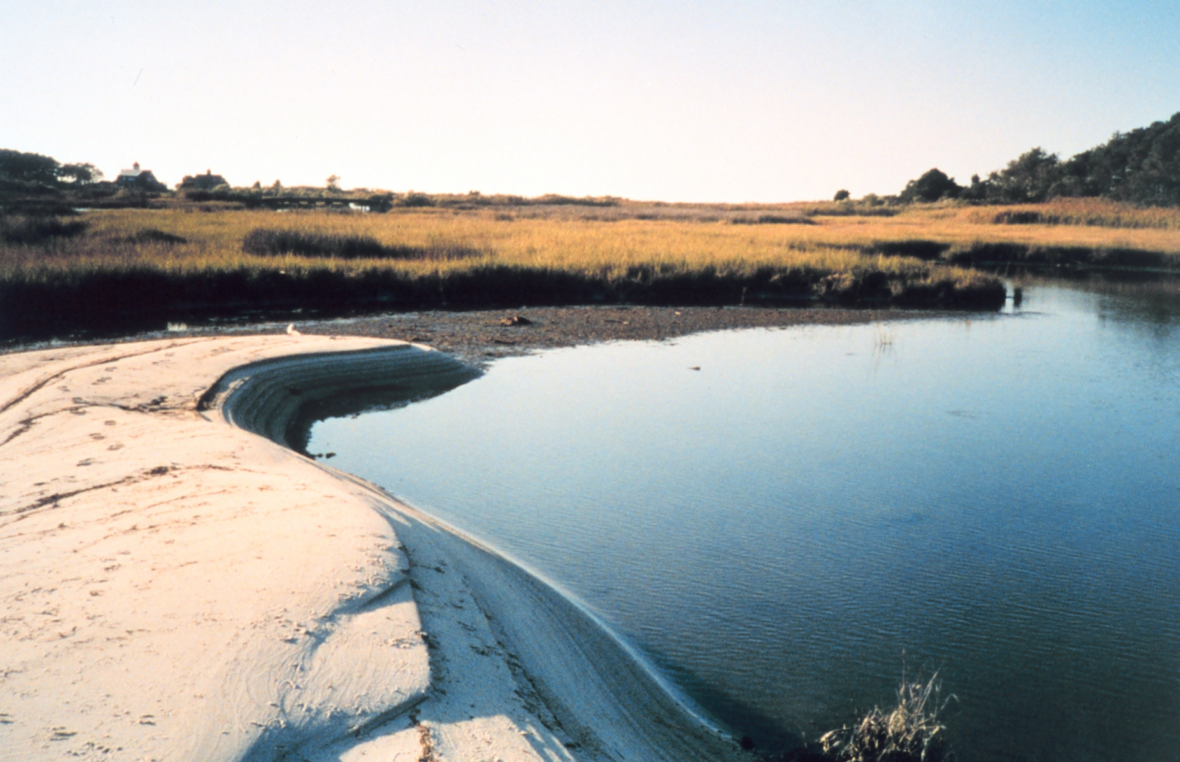 A sand bar in the marsh at Port Isobel (Image credit: Mary Hollinger) A sand bar in the marsh at Port Isobel