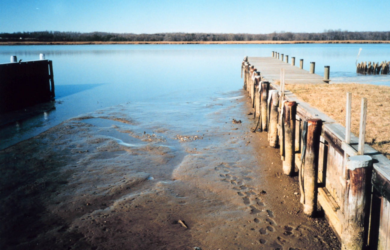 A winter extreme low tide (Image credit: Mary Hollinger) A winter extreme low tide