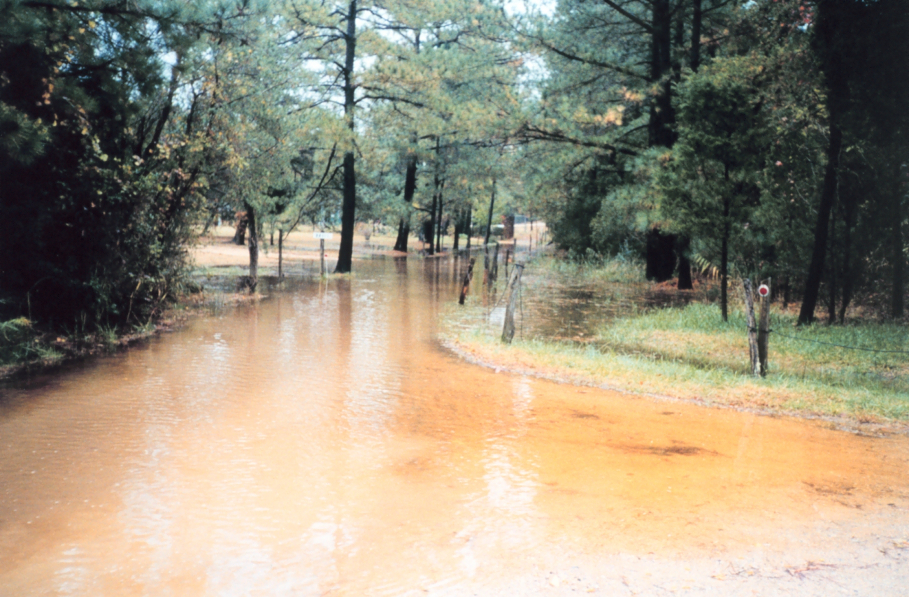 Flooding of low-lying areas by extreme high tides (Image credit: Mary Hollinger) Flooding of low-lying areas by extreme high tides