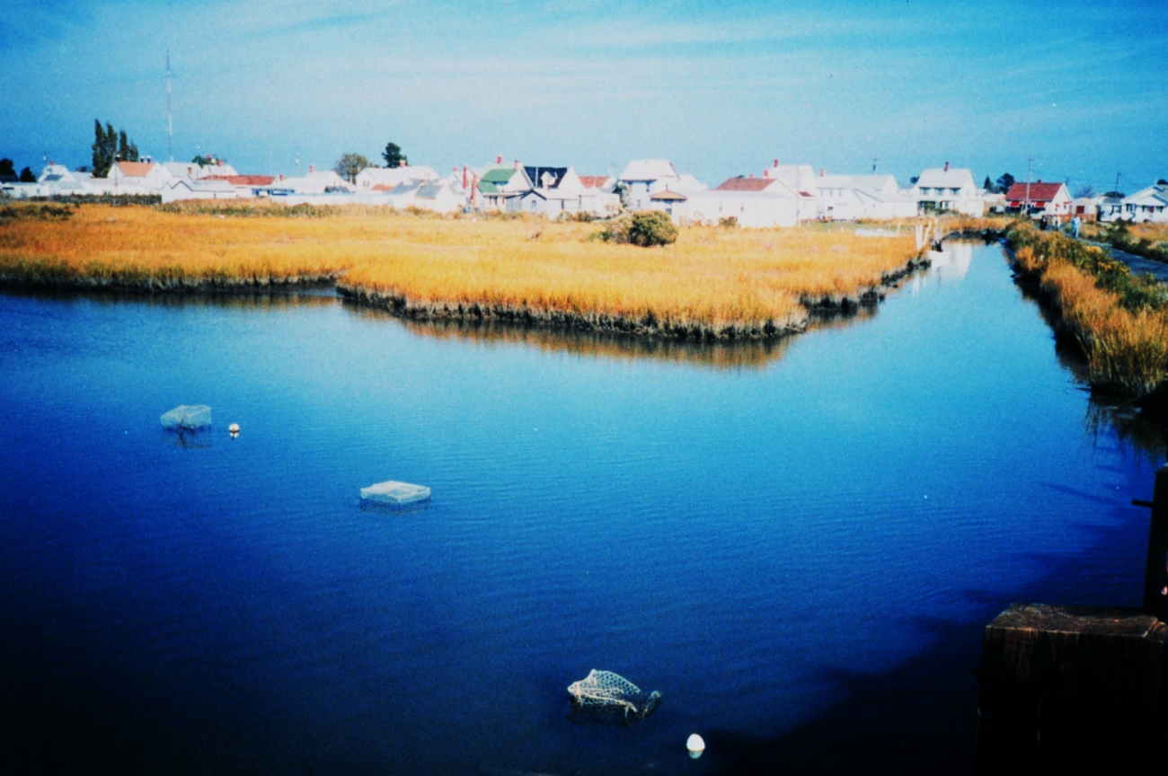 Crab pots in a channel (Image credit: Mary Hollinger) Crab pots in a channel