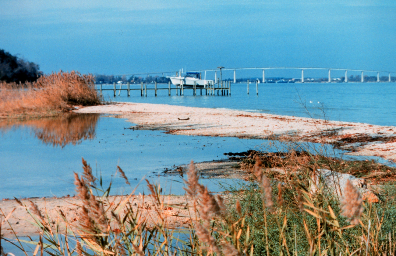 Mouth of a tidal pond has been closed up by a series of storms and high tides (Image credit: Mary Hollinger) Mouth of a tidal pond has been closed up by a series of storms and high tides