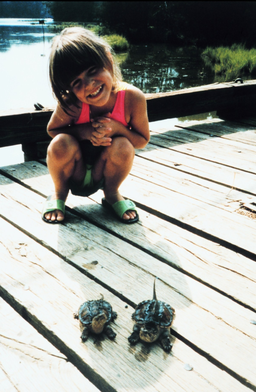 Juvenile human inspecting juvenile alligator snapping turtles (Image credit: Mary Hollinger) Juvenile human inspecting juvenile alligator snapping turtles