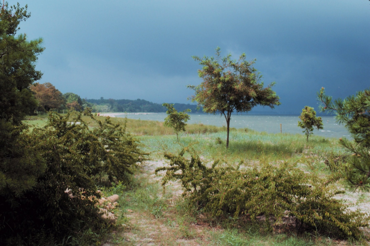 A storm is brewing on the lower Patuxent River (Image credit: Mary Hollinger) A storm is brewing on the lower Patuxent River