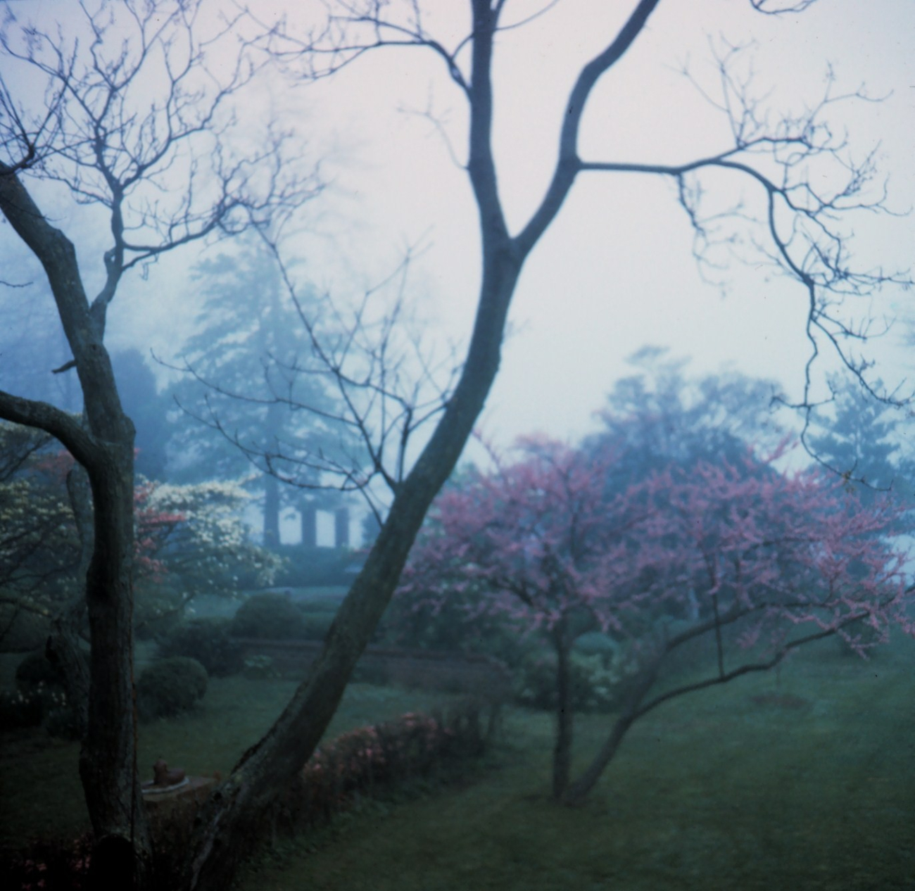 A foggy St (Image credit: Mary Hollinger) A foggy St