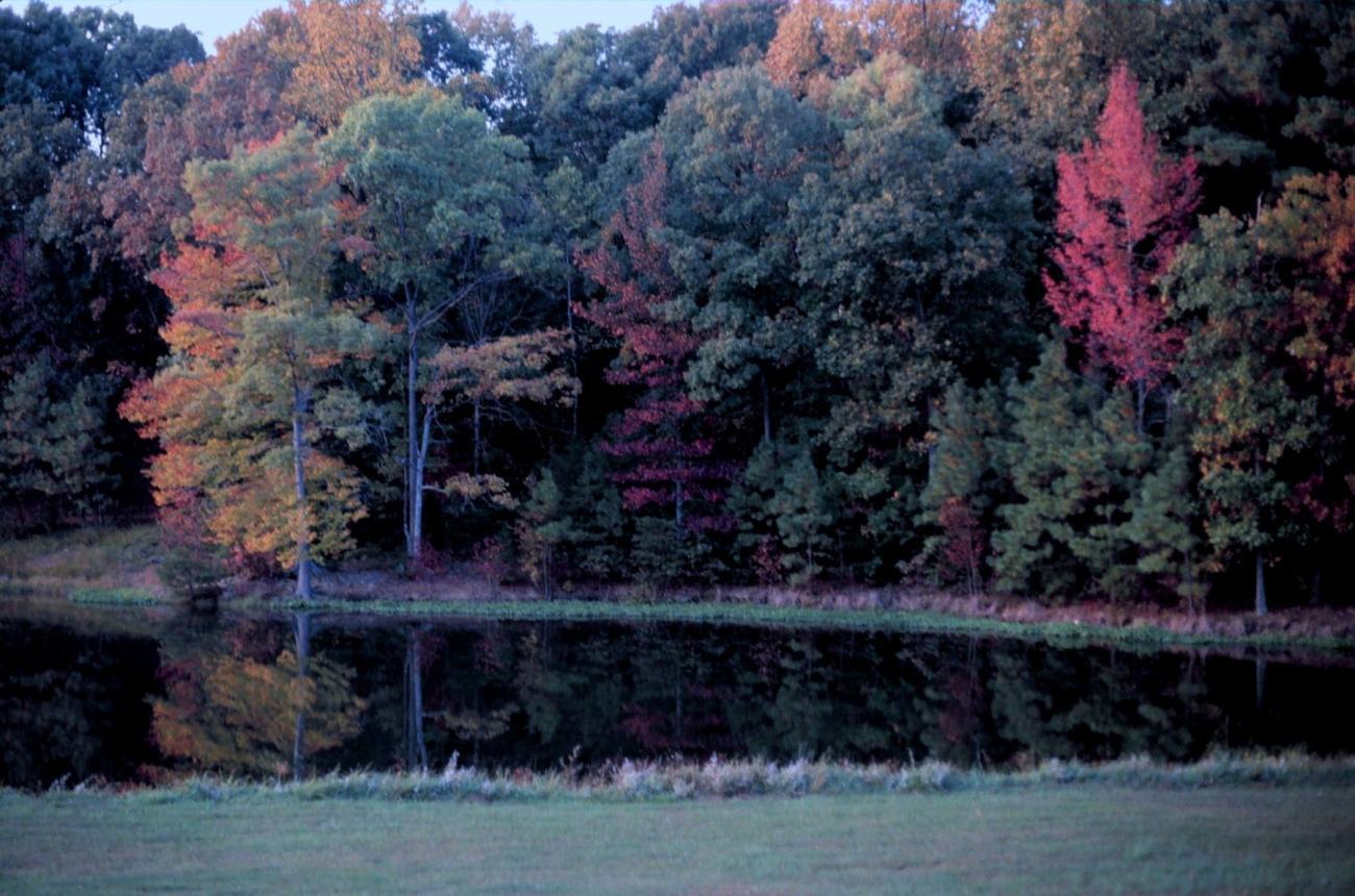 Fall colors grace St (Image credit: Mary Hollinger) Fall colors grace St