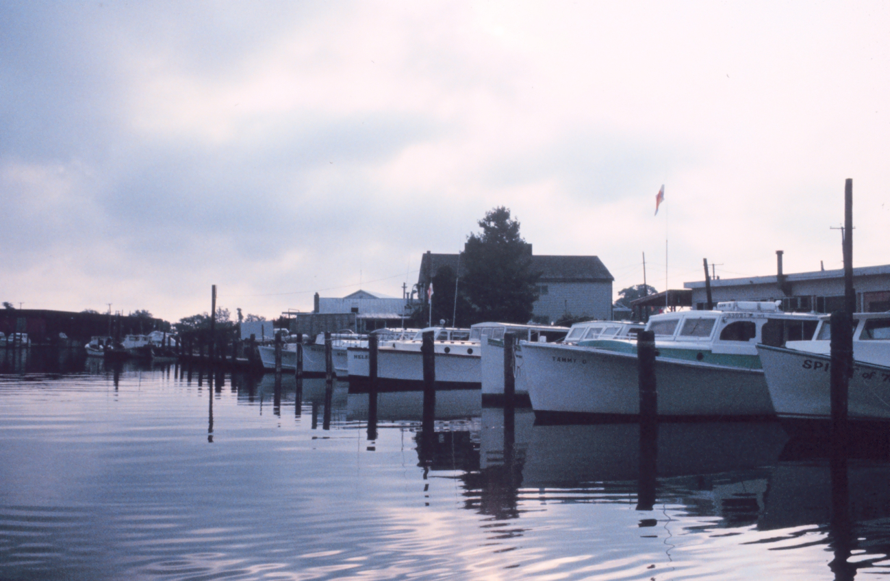A fleet of small charter fishing boats in port (Image credit: Mary Hollinger) A fleet of small charter fishing boats in port