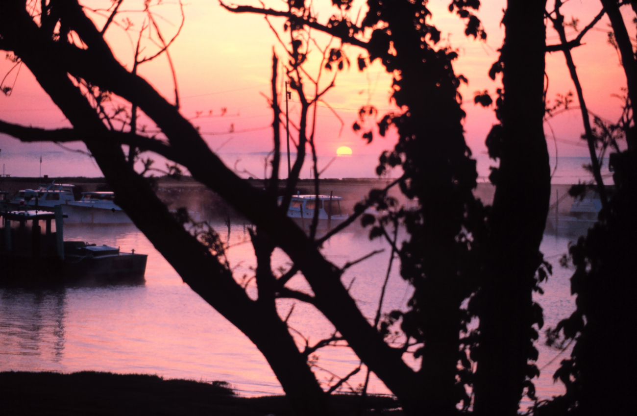 Sunrise overlooking Fishing Creek and the Chesapeake bay through the early morning fog (Image credit: Mary Hollinger) Sunrise overlooking Fishing Creek and the Chesapeake bay through the early morning fog