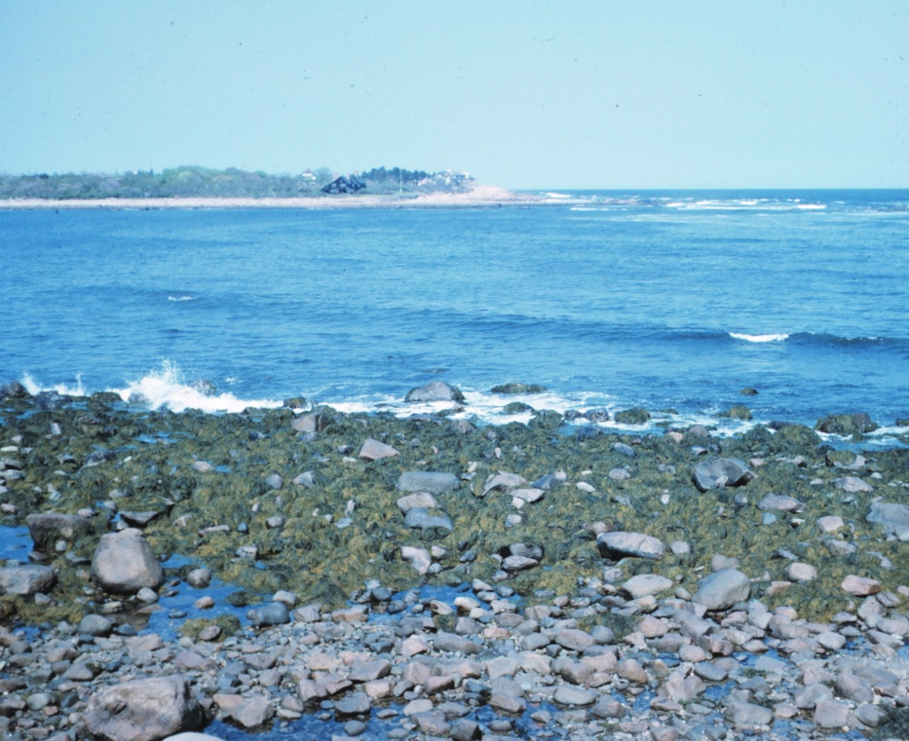 Rocky shoreline (Image credit: Mary Hollinger) Rocky shoreline