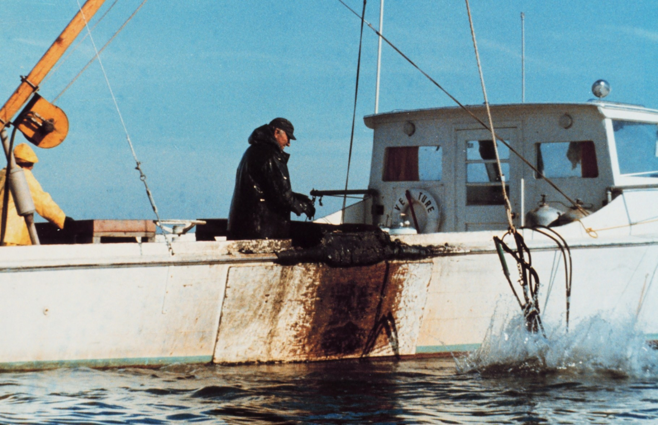 A Chesapeake waterman plying his trade on a cold winter morning (Image credit: Mary Hollinger) A Chesapeake waterman plying his trade on a cold winter morning