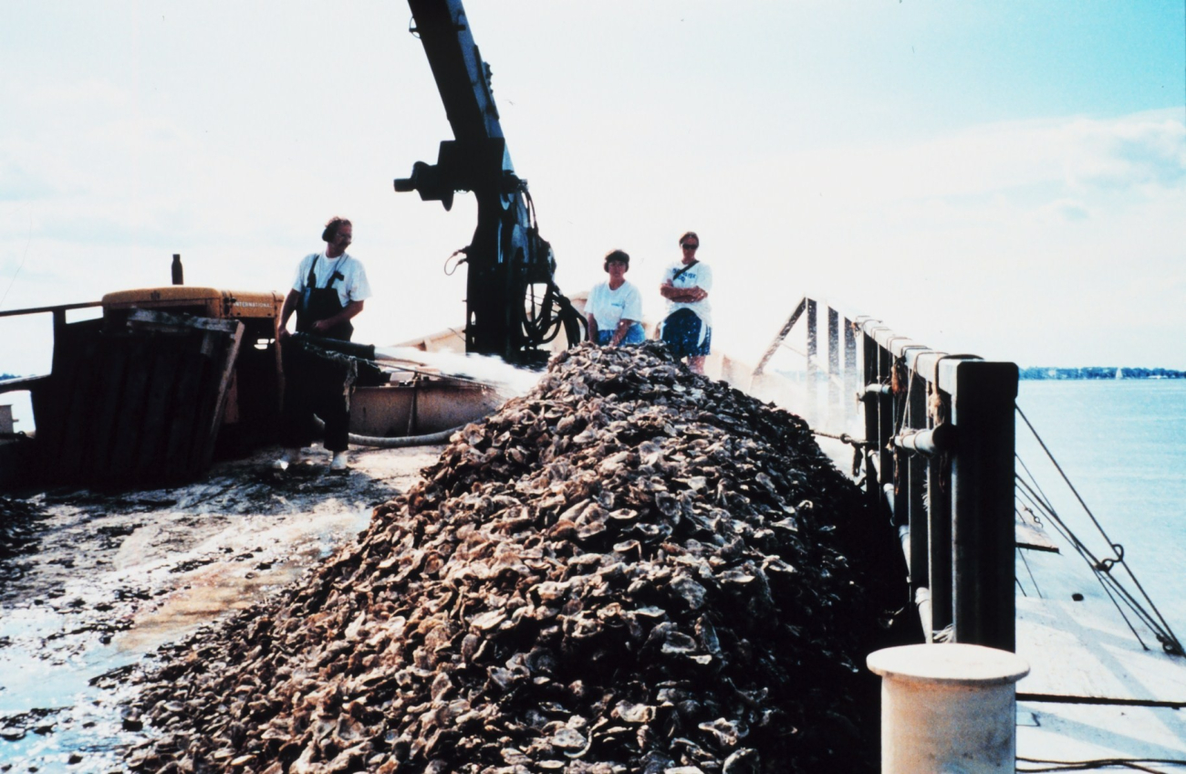 A firehose is employed by the Captain of the ROBERT LEE to spread oyster spatreared by the Oyster Recovery Partnership (Image credit: Mary Hollinger) A firehose is employed by the Captain of the ROBERT LEE to spread oyster spatreared by the Oyster Recovery Partnership
