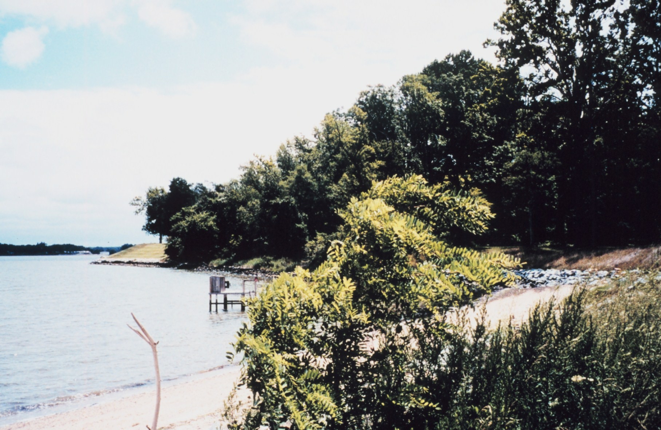 The shoreline at the University of Maryland Horn Point Laboratory is acombination of sandy beach and rock revetment (Image credit: Mary Hollinger) The shoreline at the University of Maryland Horn Point Laboratory is acombination of sandy beach and rock revetment
