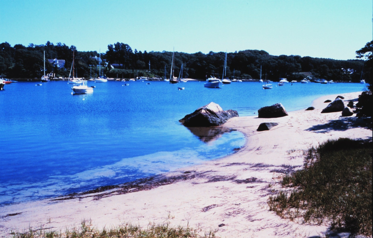 Quissett Harbor, Woods Hole, Falmouth (Image credit: Edgar Kleindinst) Quissett Harbor, Woods Hole, Falmouth