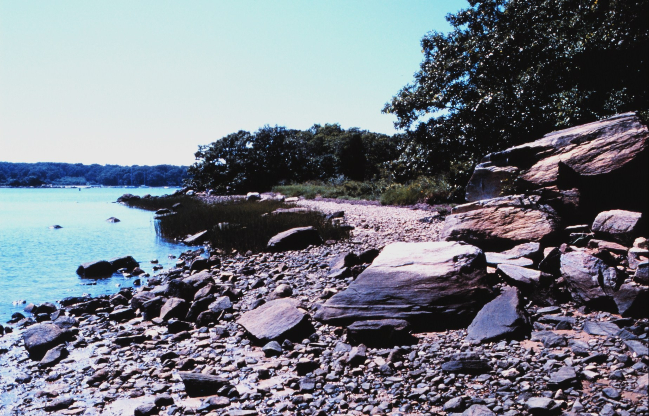 Quissett Harbor, Woods Hole, Falmouth (Image credit: Edgar Kleindinst) Quissett Harbor, Woods Hole, Falmouth