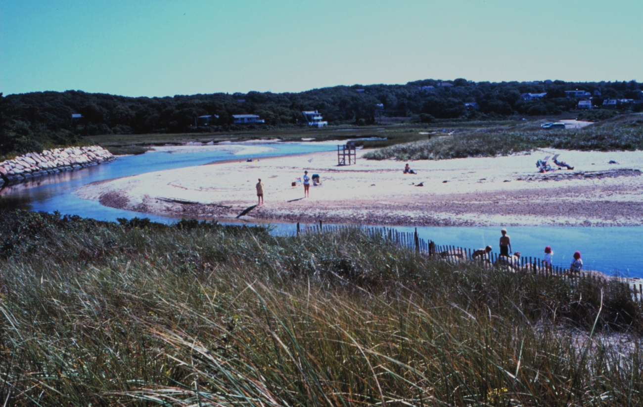 Woodneck Beach - Little Sippewissett Marsh, Falmouth (Image credit: Edgar Kleindinst) Woodneck Beach - Little Sippewissett Marsh, Falmouth