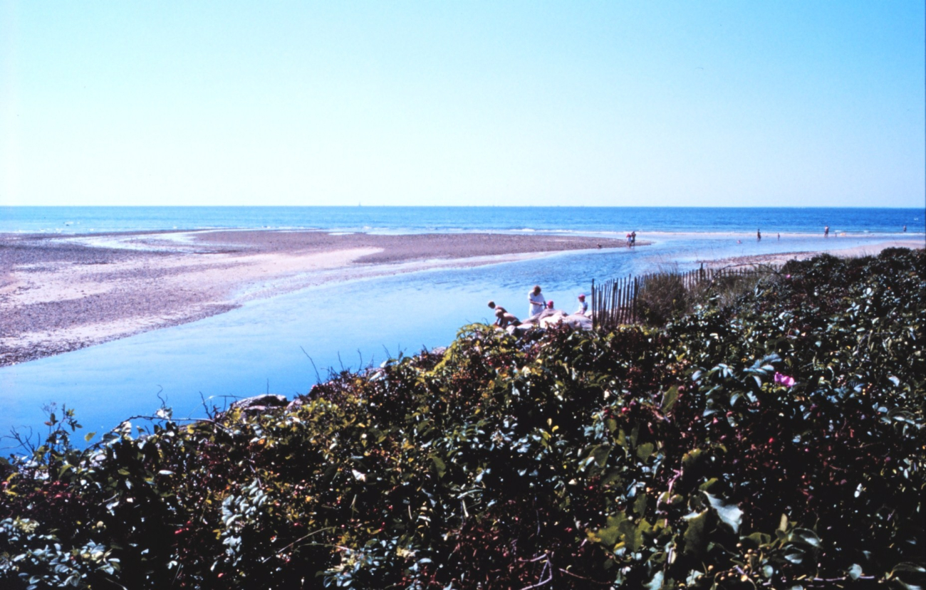 Woodneck Beach - Buzzards Bay, Falmouth (Image credit: Edgar Kleindinst) Woodneck Beach - Buzzards Bay, Falmouth