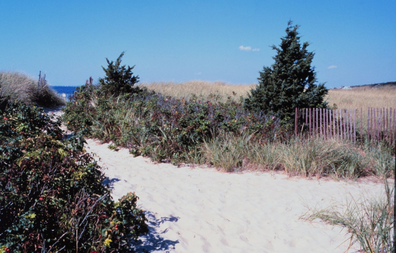 Beach on Buzzards Bay, West Falmouth (Image credit: Edgar Kleindinst) Beach on Buzzards Bay, West Falmouth