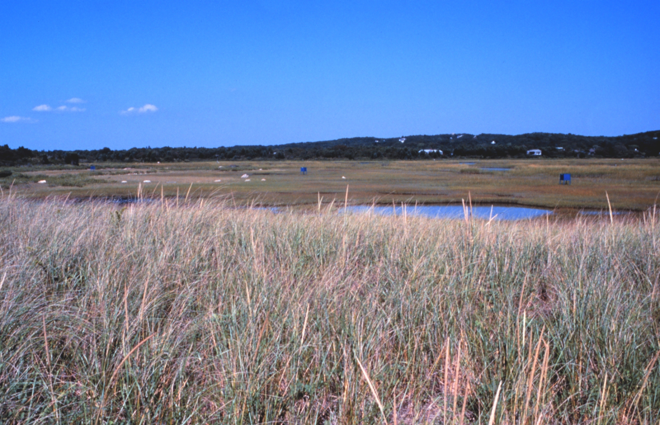 Great Sippewissett Marsh, West Falmouth (Image credit: Edgar Kleindinst) Great Sippewissett Marsh, West Falmouth