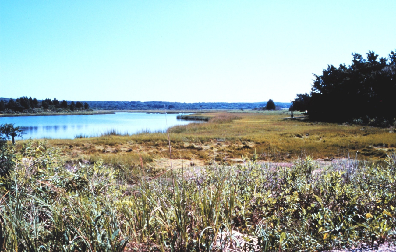 Great Sippewissett Marsh, West Falmouth