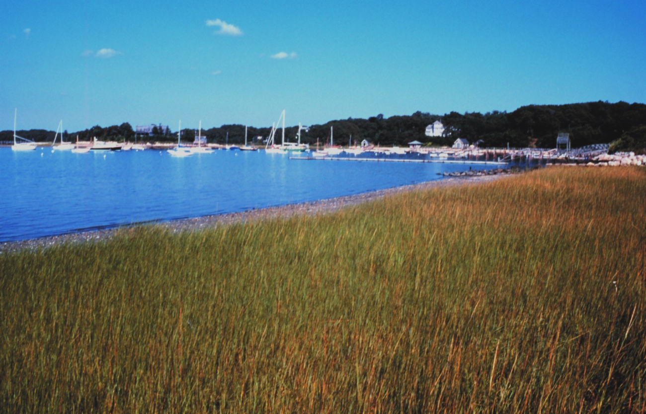 Buzzards Bay, North Falmouth (Image credit: Edgar Kleindinst) Buzzards Bay, North Falmouth