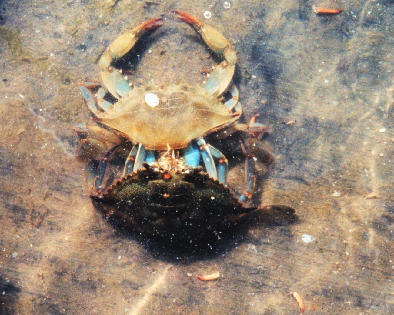 Photo #6 of 8 (Image credit: Mary Hollinger) Photo #6 of 8
